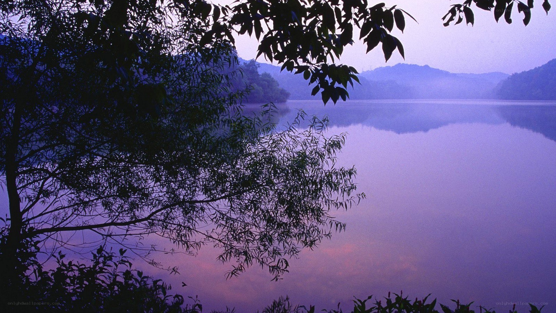 Purple lake at dawn