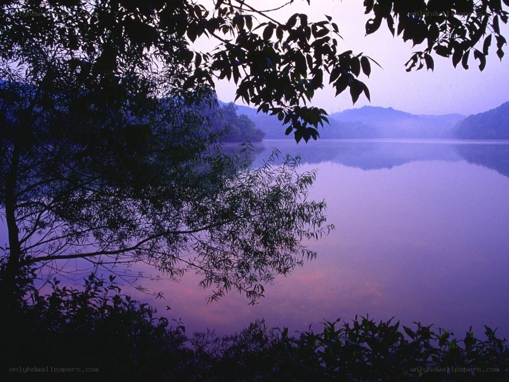 Purple lake at dawn