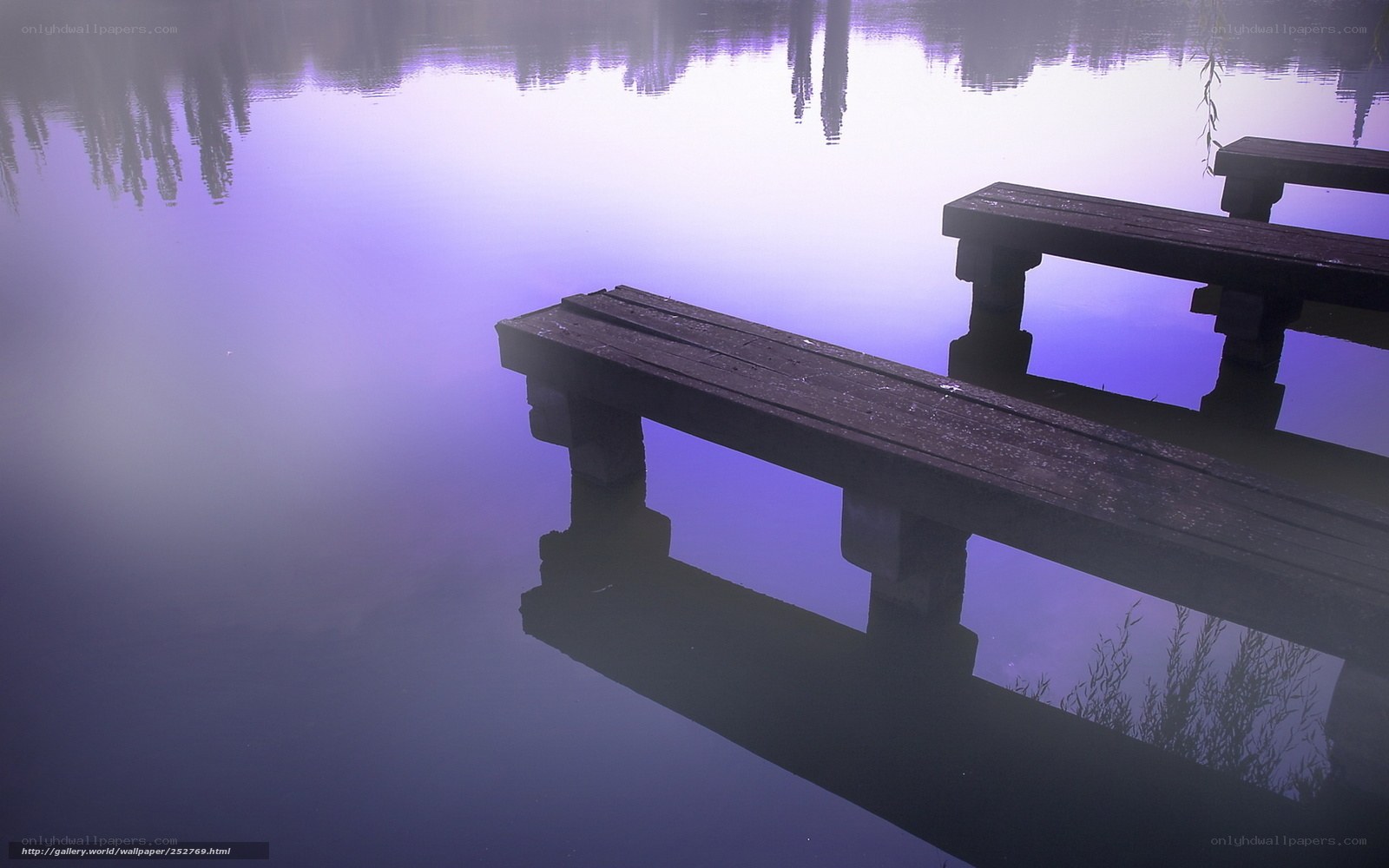 Purple lake at dawn