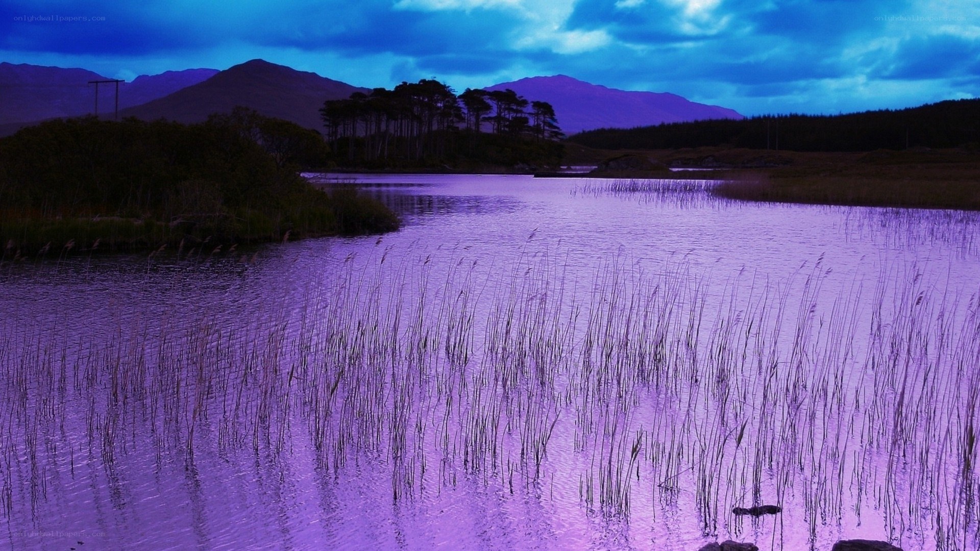 purple lake at dusk