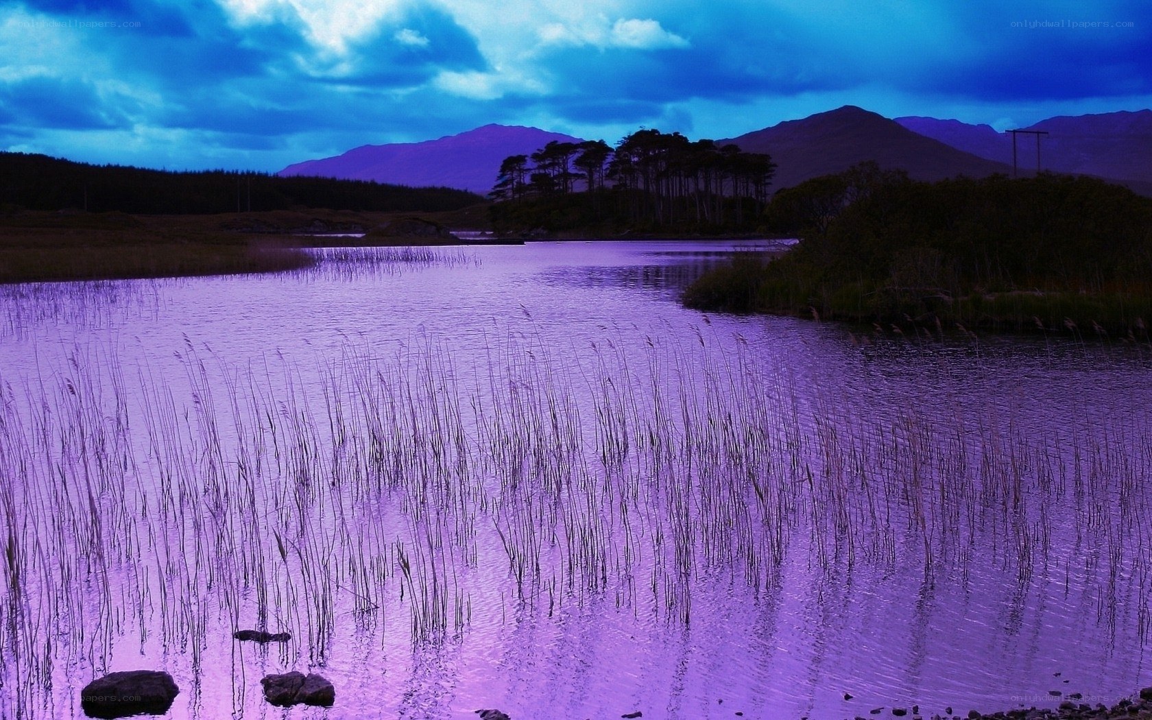 Purple lake at dusk