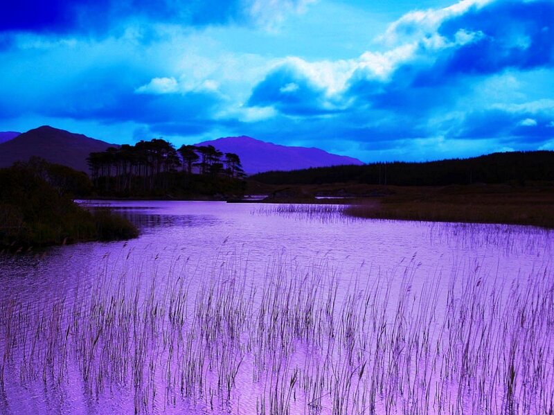 Purple lake at dusk