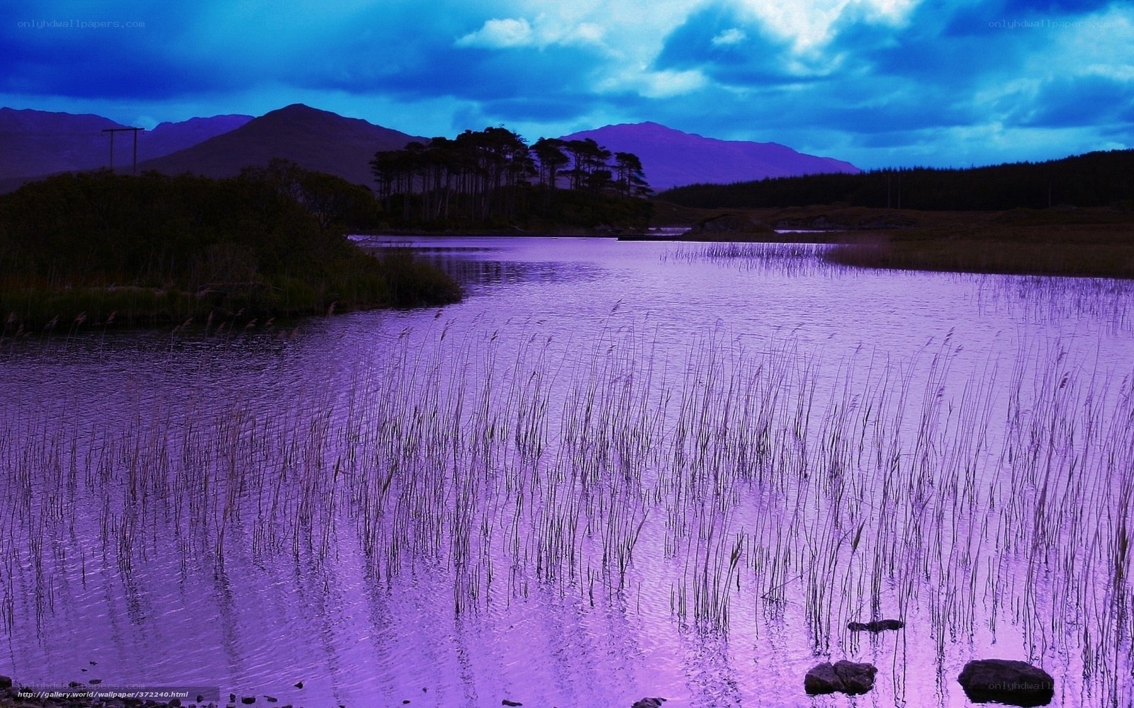 Purple Lake at Dusk