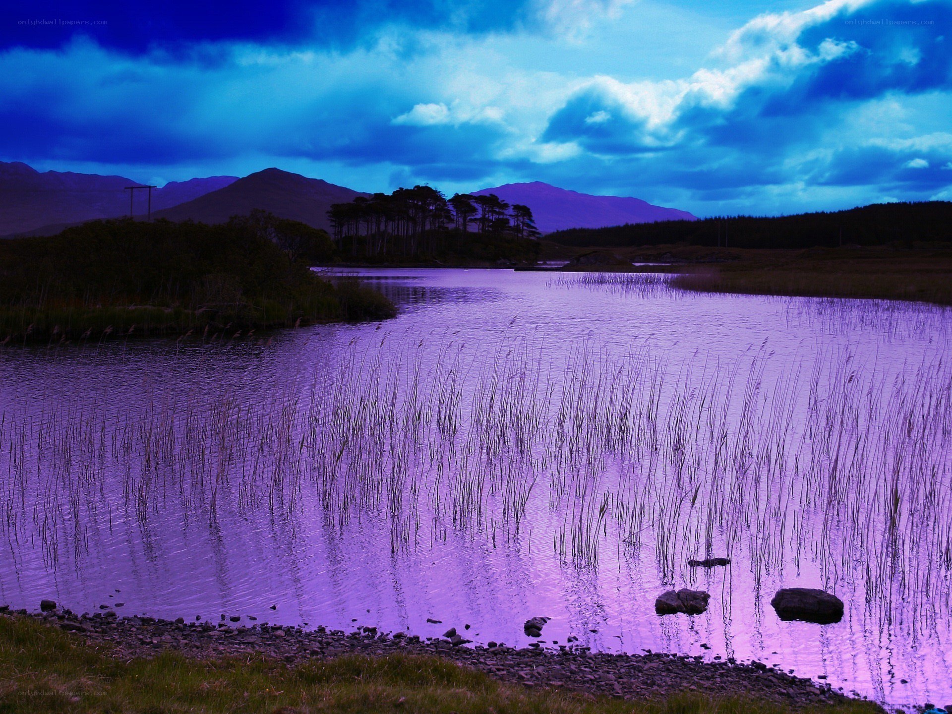 Purple lake at dusk