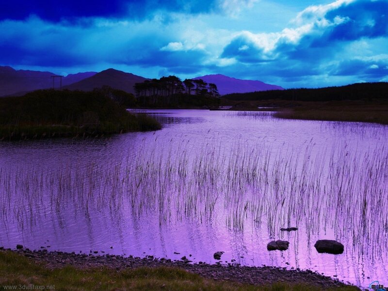 Purple Lake at Dusk — Dramatic, Night, Photograph, Mountains, Reeds