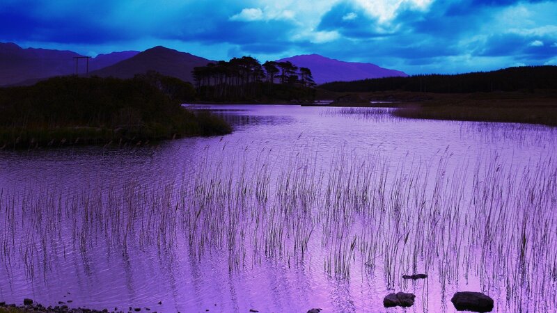 Purple Lake at Dusk — Dramatic, Night, Photograph, Mountains, Trees, Reeds, Blue