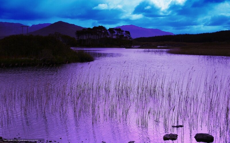 Purple Lake at Dusk — Dramatic, Night, Photograph, Mountains, Trees