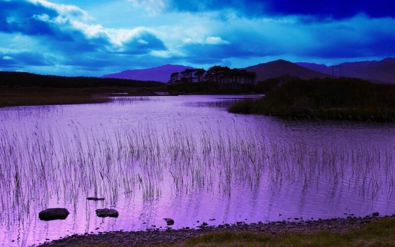Purple Lake at Dusk — Dramatic, Photograph