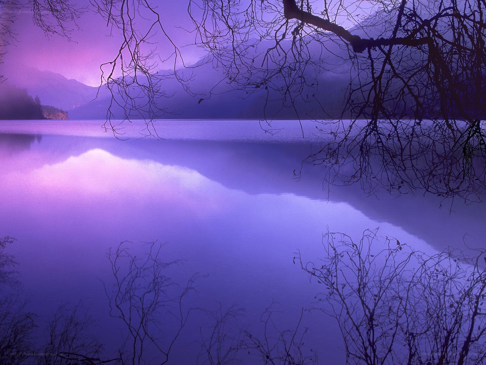 Purple lake at twilight