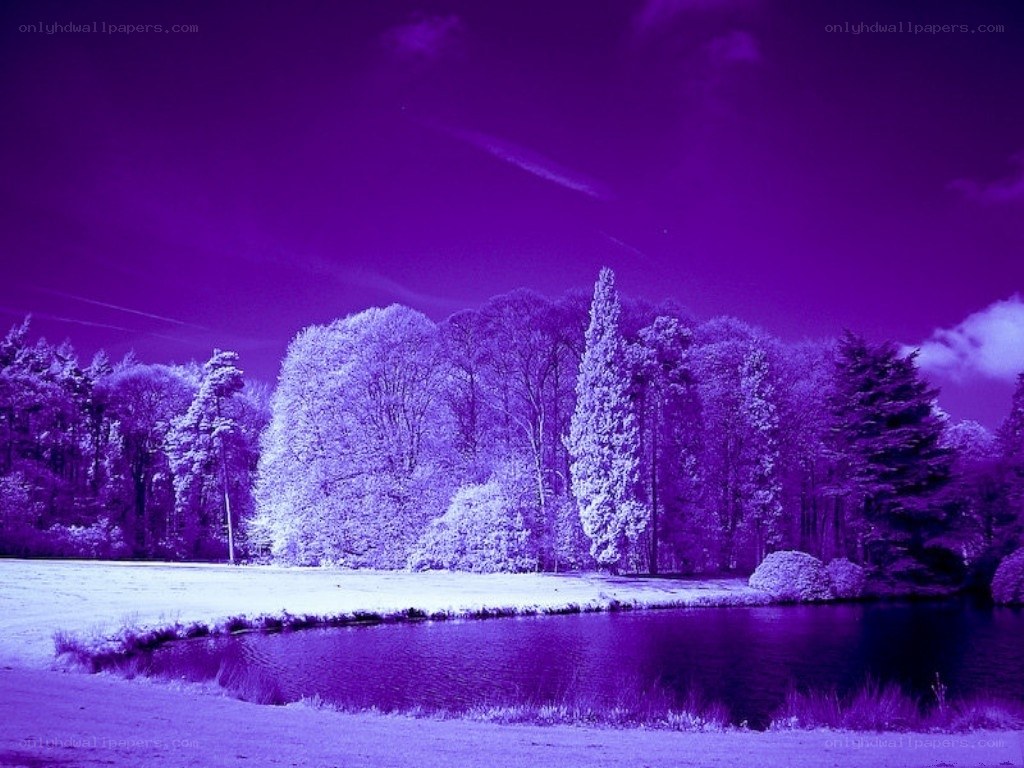 Purple landscape with pond