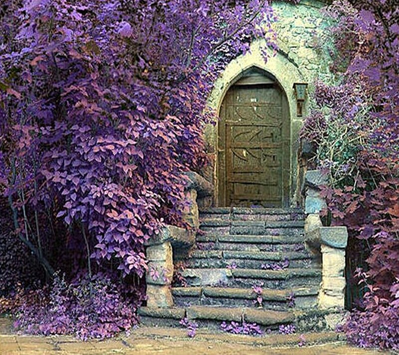 purple-leafed garden entrance