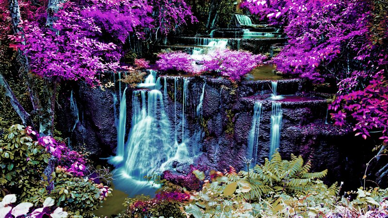 Purple-leafed Waterfall — Purple, Serene, Digital Art