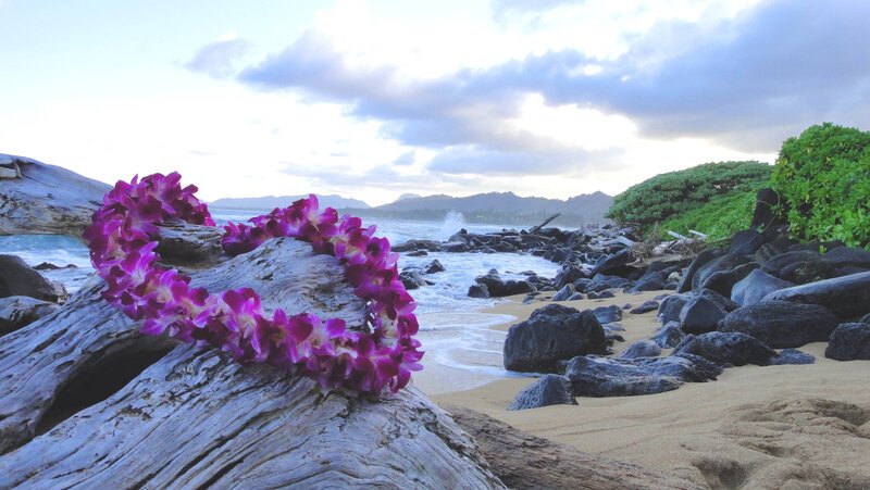 Purple Lei on Driftwood