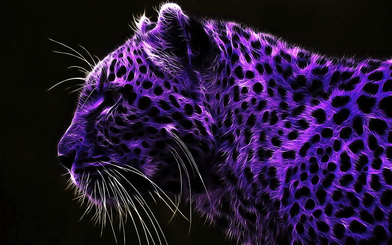purple leopard digital art