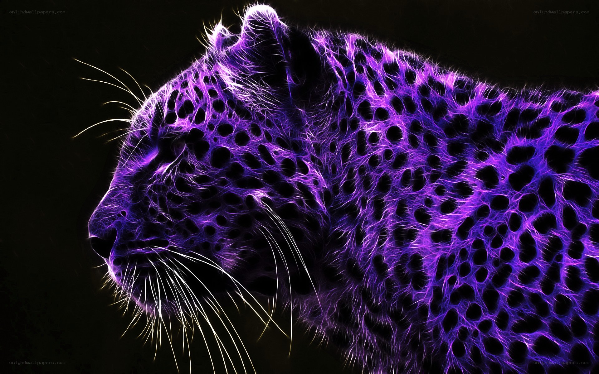 purple leopard digital art