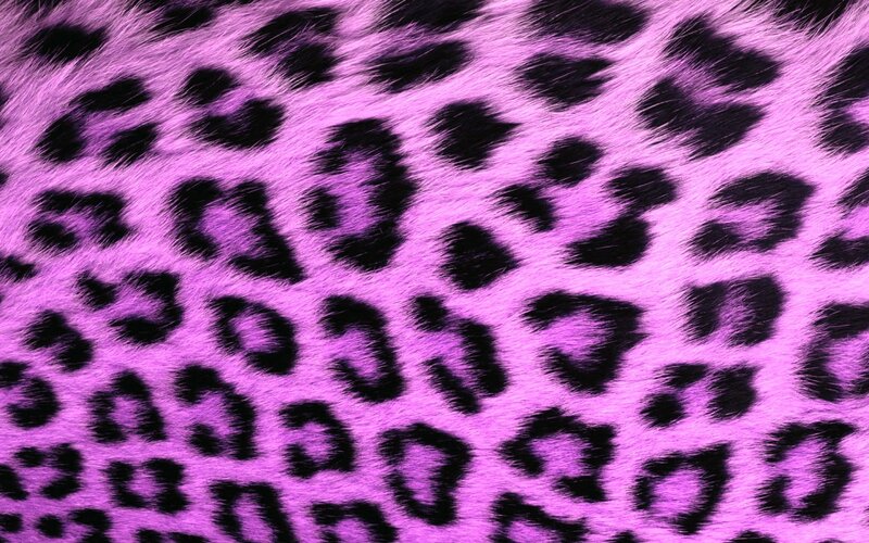 Purple Leopard Print