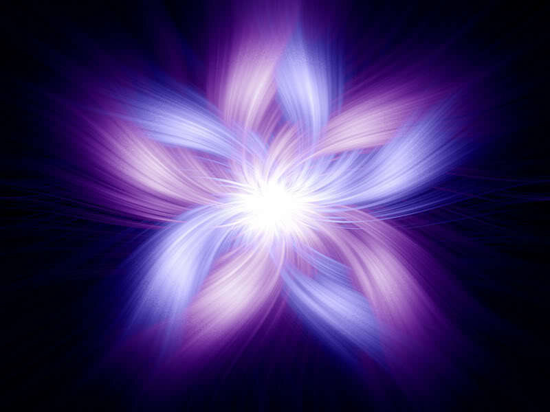 purple light burst flower