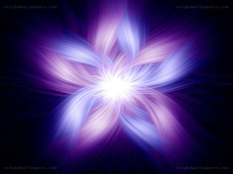 purple light burst flower