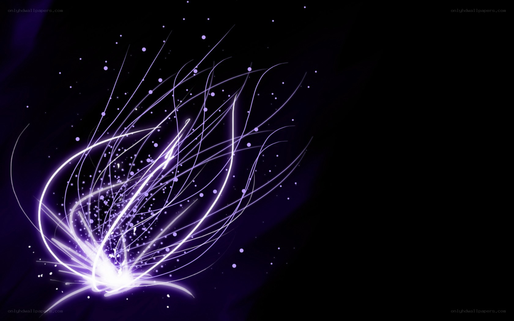 purple light streaks on black