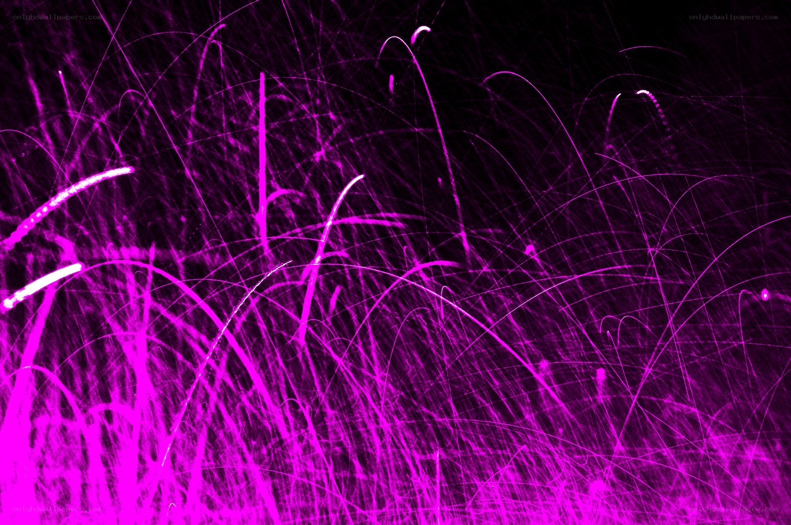 purple light trails abstract