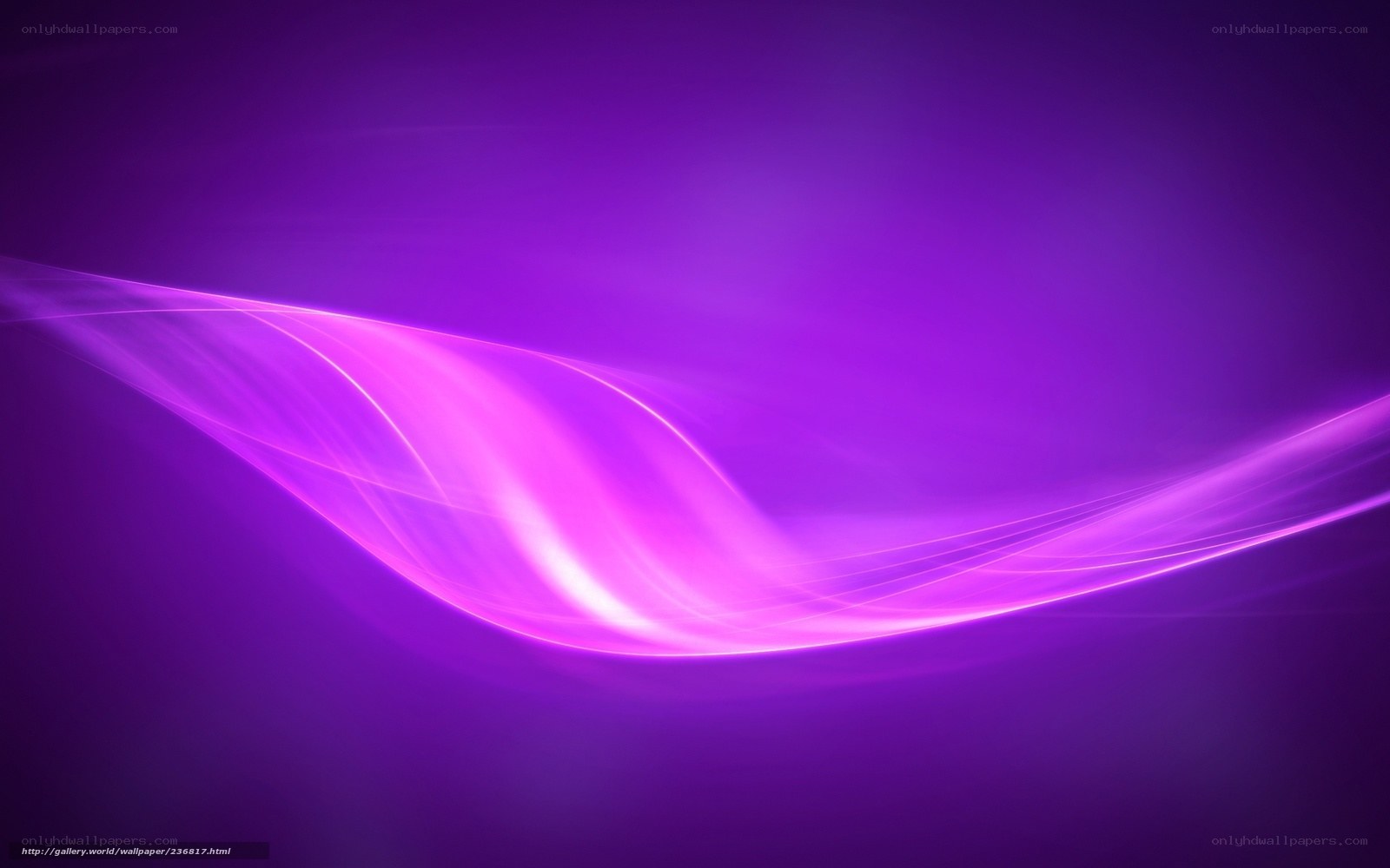 Purple light wave abstract