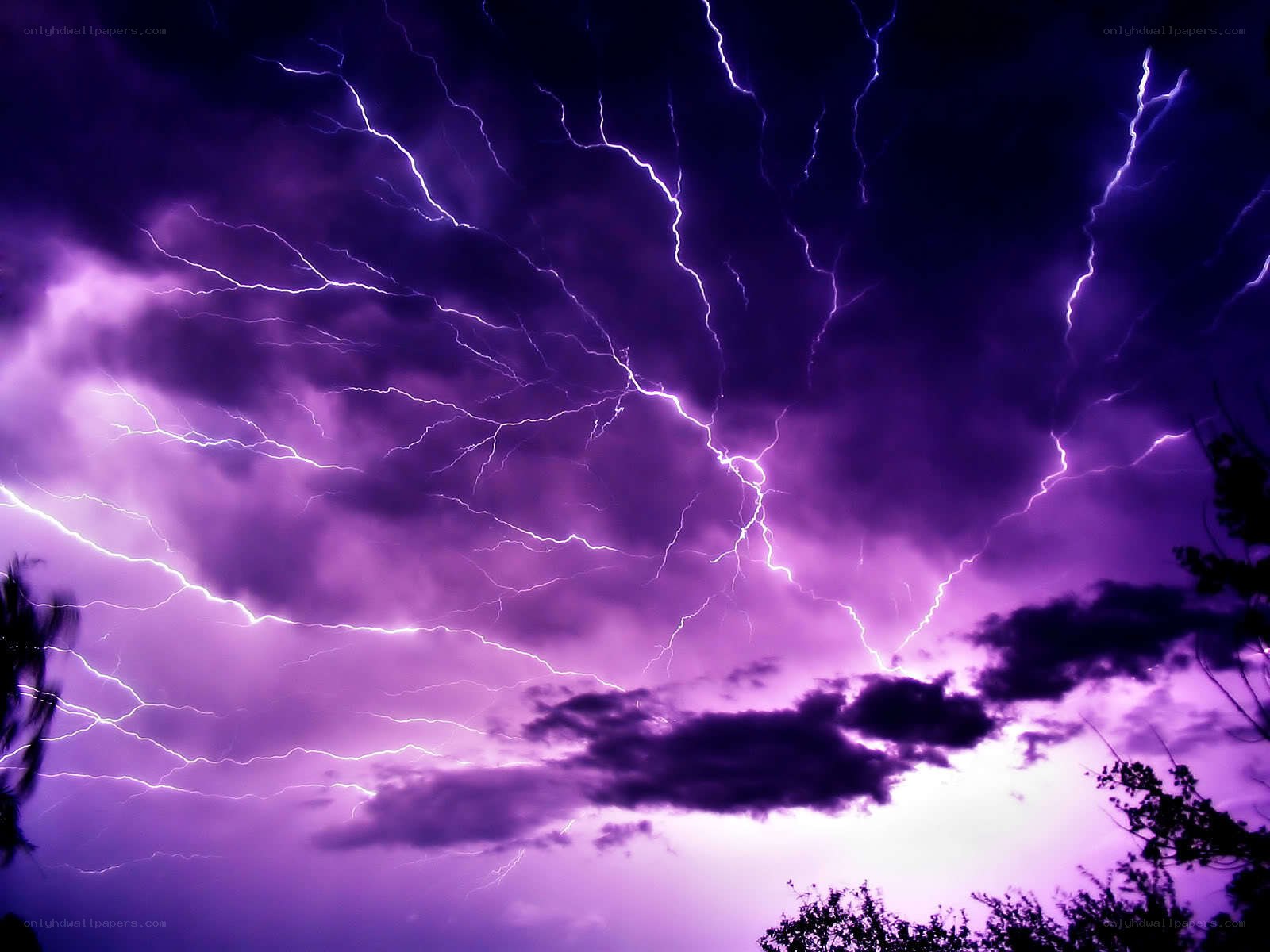 Purple lightning storm