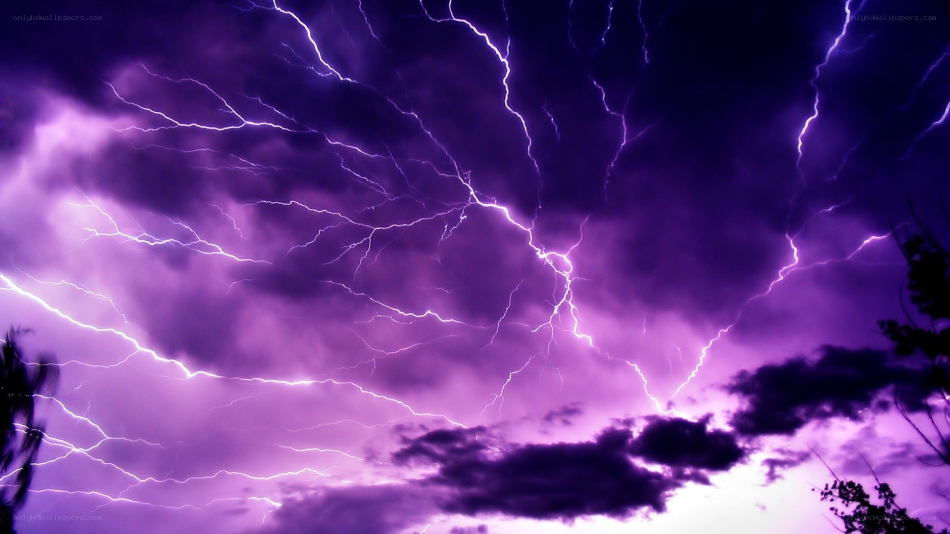 Purple lightning storm
