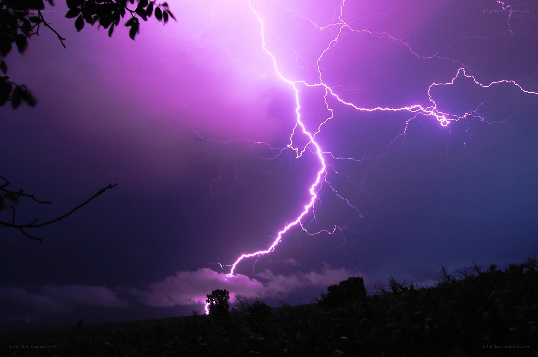 Purple lightning storm