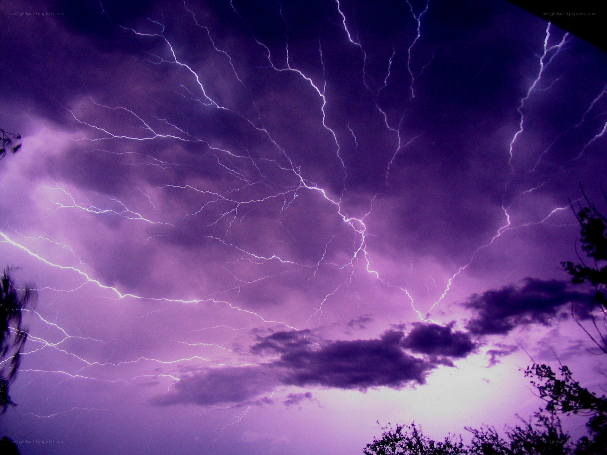 Purple lightning storm