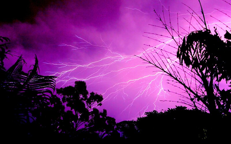 Purple Lightning Storm — Dramatic, Night, Photograph, Trees