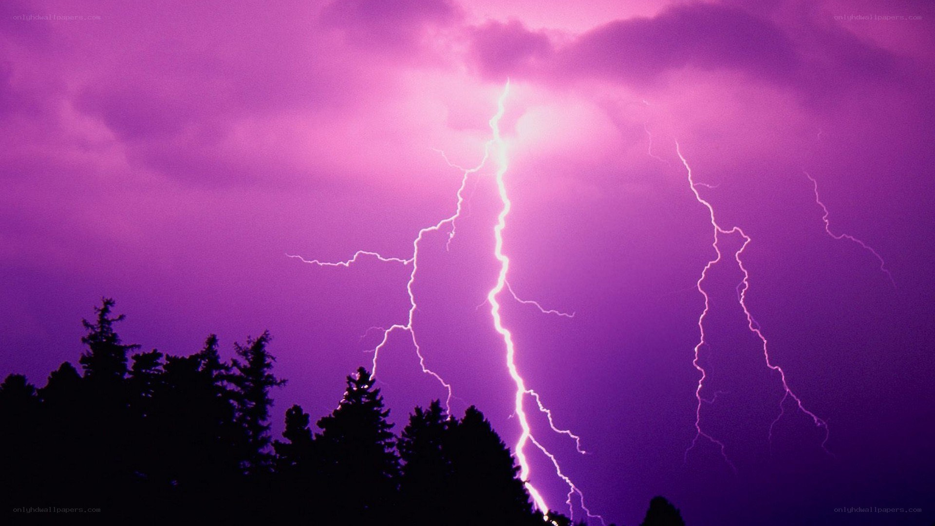 Purple lightning storm over trees