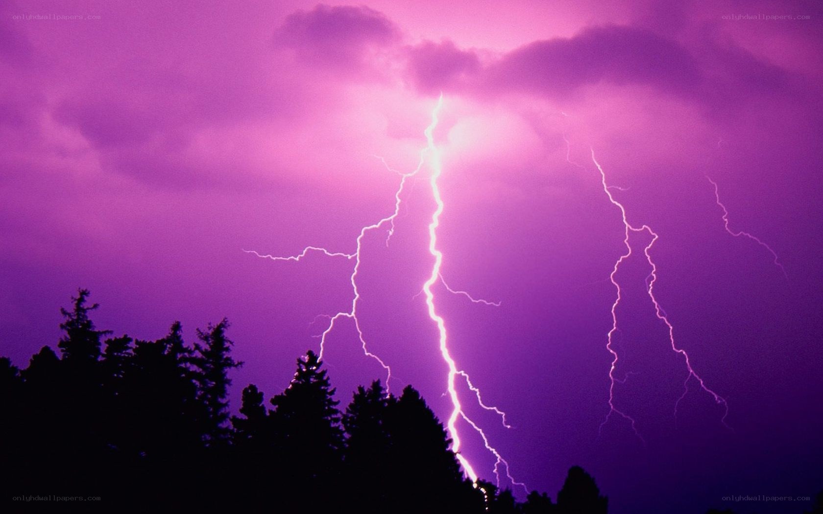 Purple lightning storm over trees