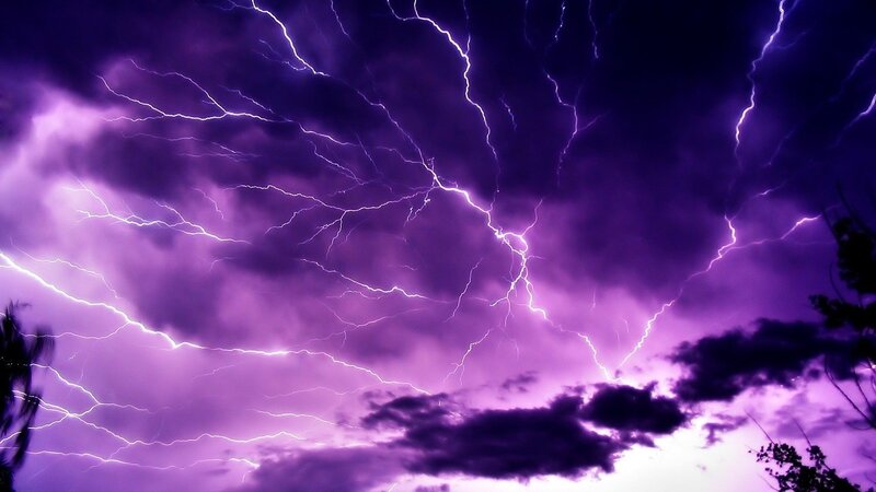 Purple Lightning Storm — Trees
