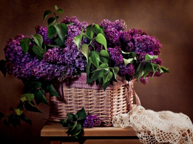 Purple Lilac Bouquet — Calm, Photograph, Basket, Table