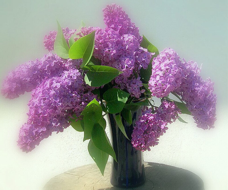 Purple Lilac Bouquet — Calm, Spring, Photograph