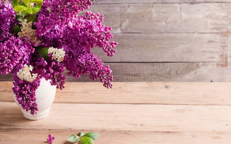 Purple Lilac Bouquet — Calm, Spring, Photograph, White Vase