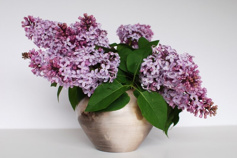 Purple Lilac Bouquet — Calm, Spring