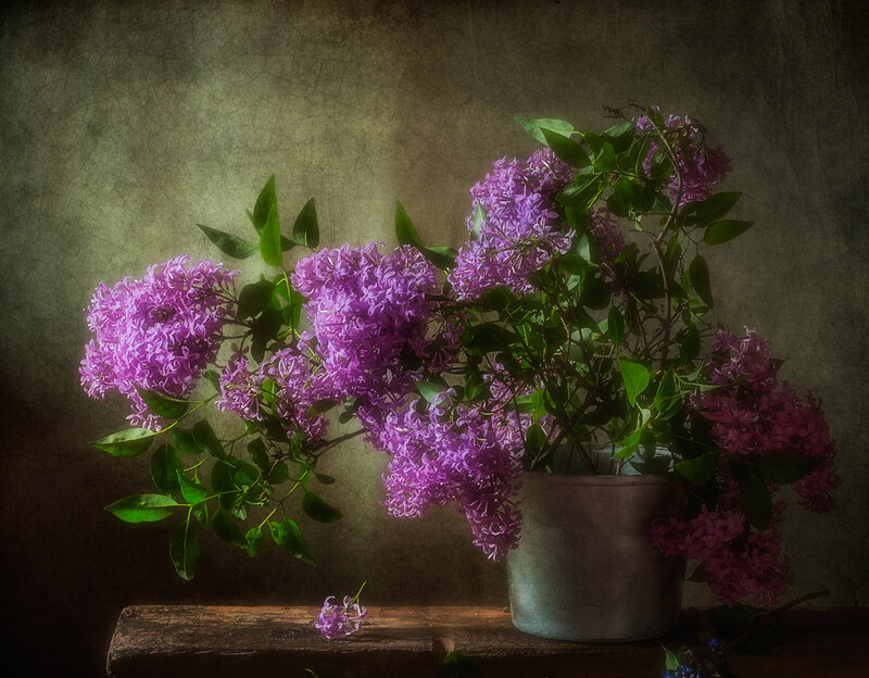 Purple Lilac Bouquet — Dramatic, Photograph