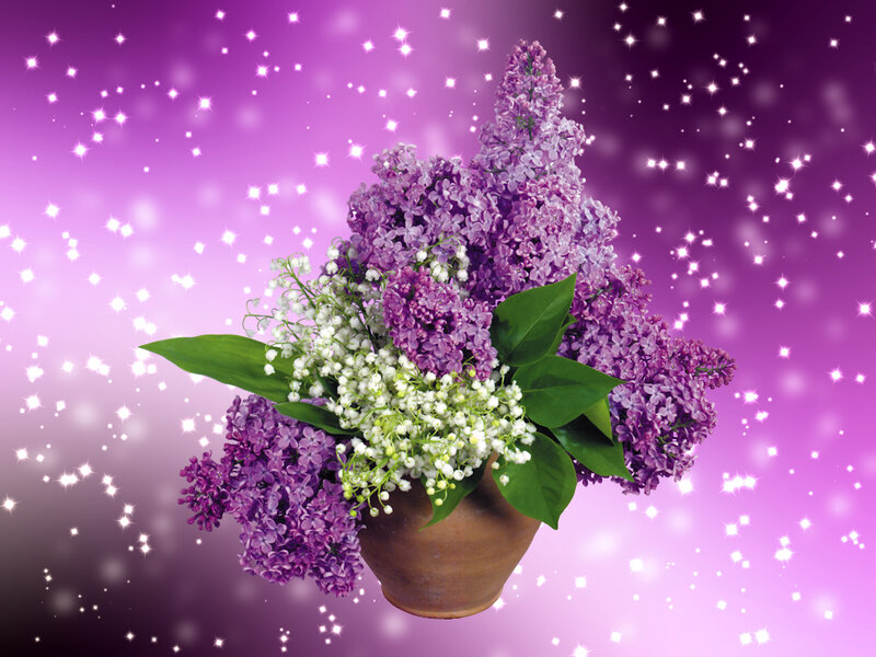 Purple Lilac Bouquet — Dreamy