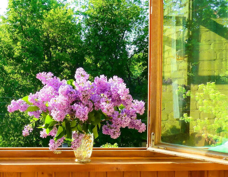 Purple Lilac Bouquet — Serene, Afternoon