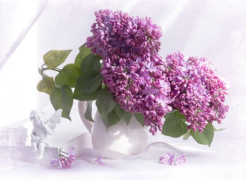Purple Lilac Bouquet — Serene, Spring, Photograph, Angel Figurine