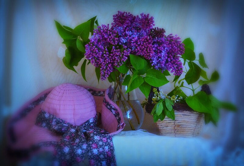 Purple Lilac Bouquet — Serene, Spring, Photograph, Hat