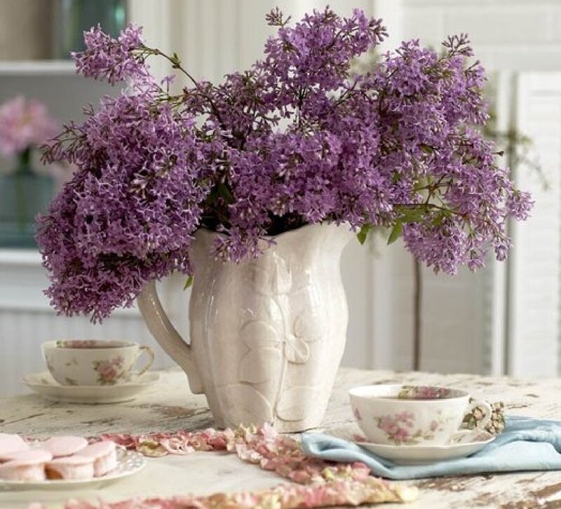 Purple Lilac Bouquet — Serene, Spring, Photograph, Teacups