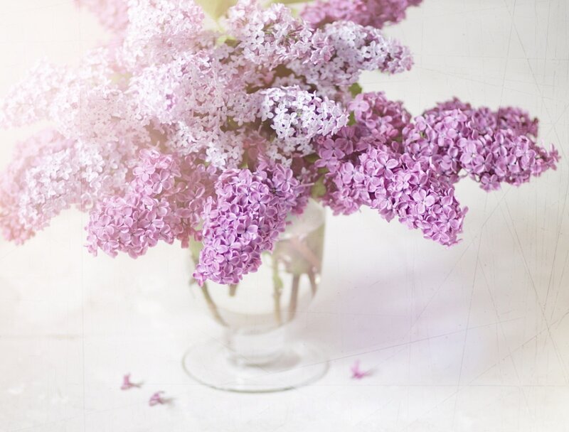 Purple Lilac Bouquet — Serene, Spring, Photograph, Vase, Petals