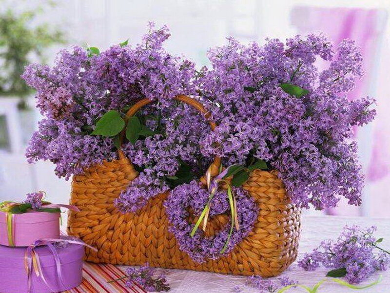 Purple Lilac Bouquet — Serene, Spring, Photograph, Woven Basket