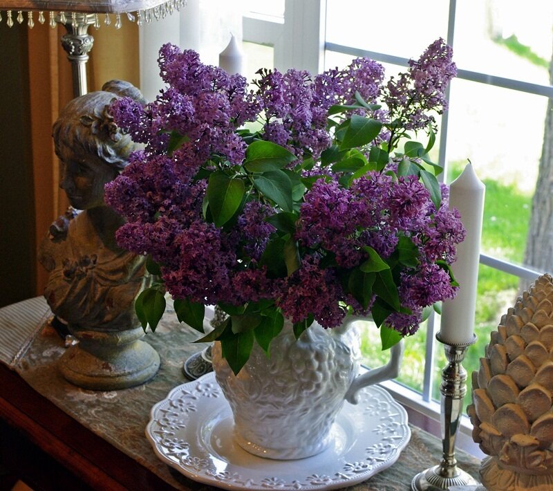 Purple Lilac Bouquet — Serene, Spring