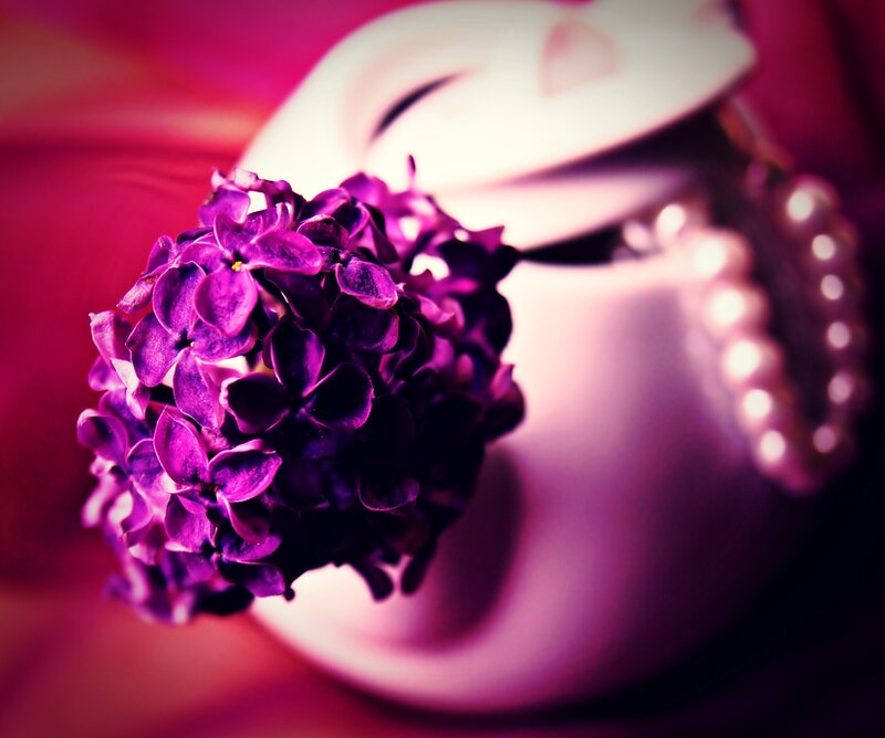 Purple Lilac Flower — Dramatic