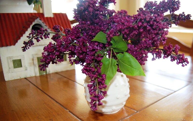 Purple Lilac Flowers — Calm, Afternoon