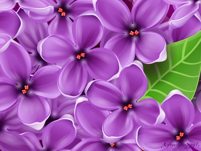 Purple Lilac Flowers — Calm, Digital Art, Green Leaf