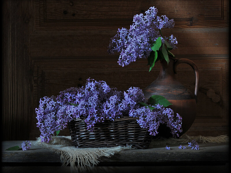 Purple Lilac Flowers — Calm, Photograph
